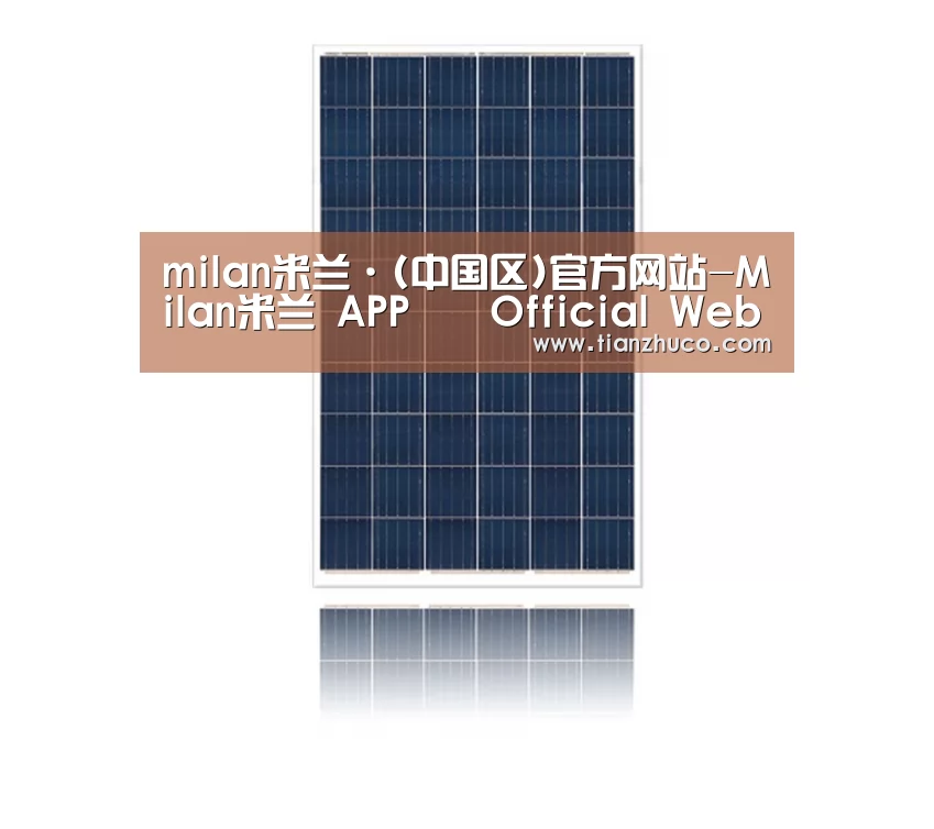 产品名称一