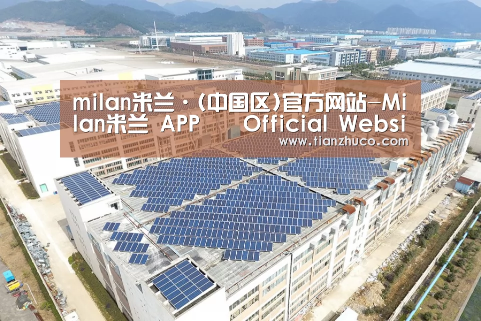 案例展示一