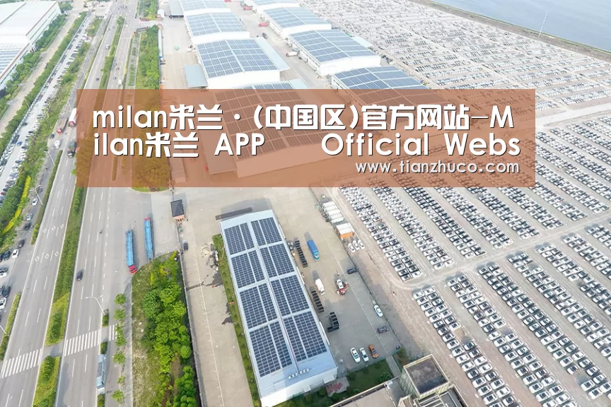 案例展示一