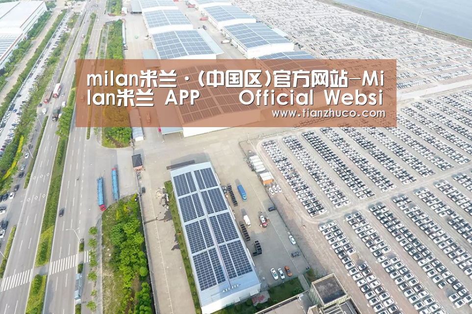 案例展示一