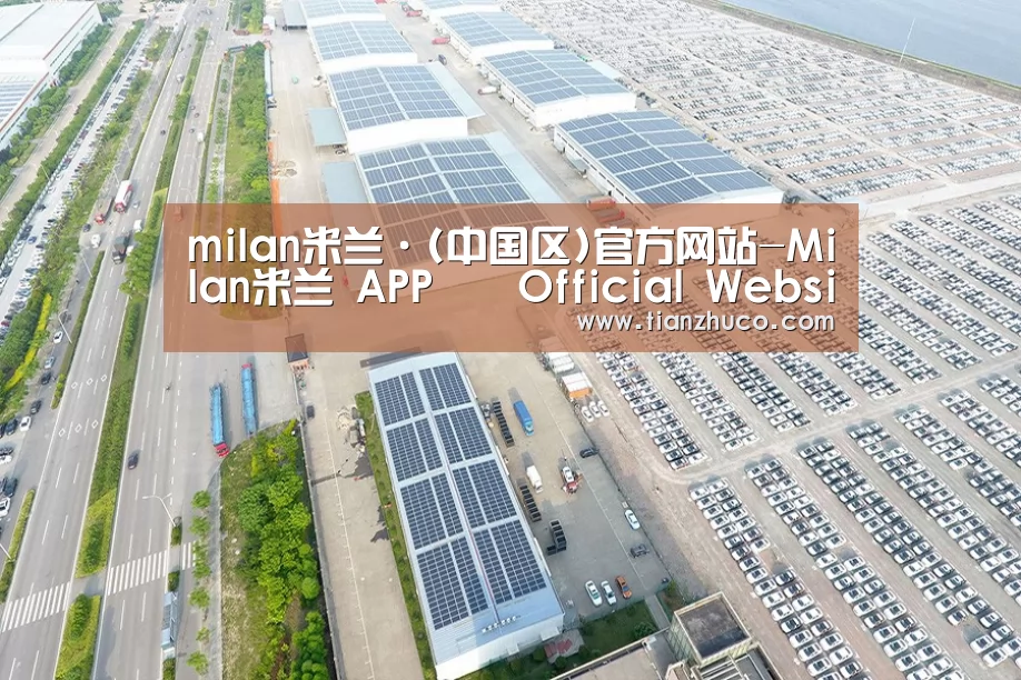 案例展示三