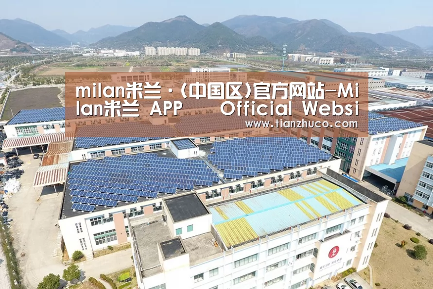 案例展示三