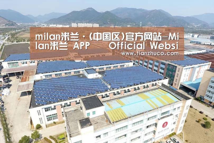 案例展示三