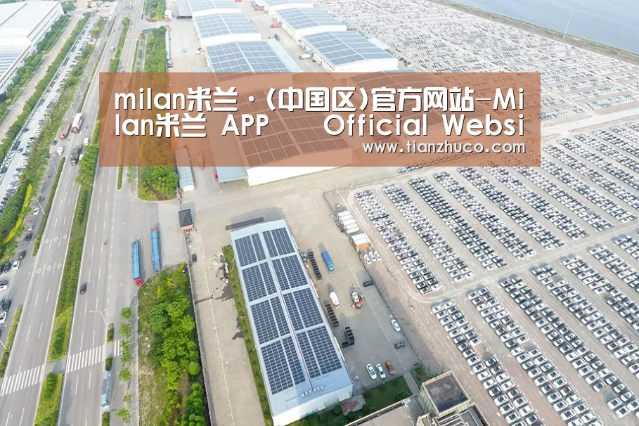 案例展示二