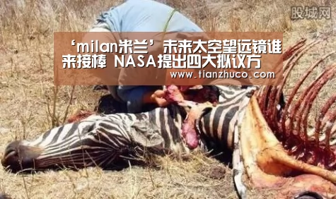 milan米兰app官网