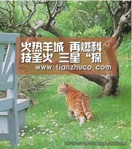 米兰官方网站