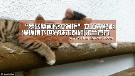 “墓葬壁画原位保护”立项冀解潮湿环境下世界技术难题|米兰官方网站(图1) 米兰官方网站