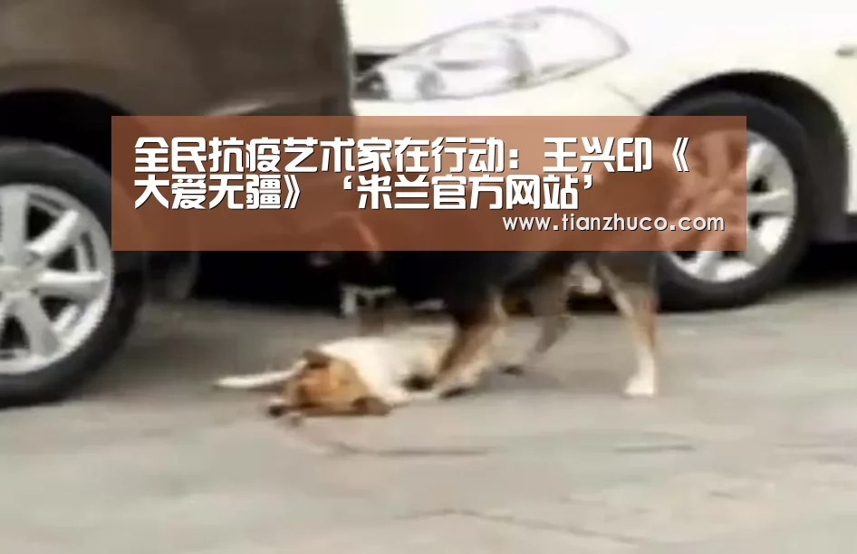 全民抗疫艺术家在行动:王兴印《大爱无疆》‘米兰官方网站’(图3) milan米兰app官网